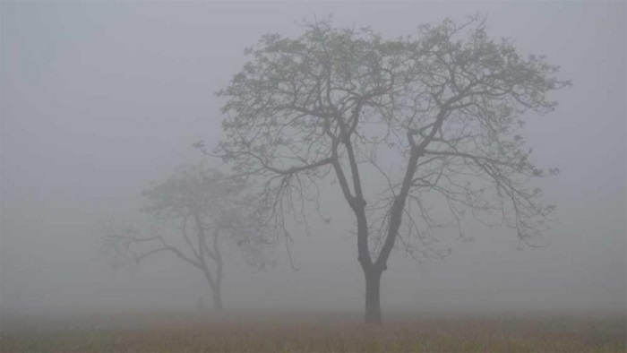 দেশের সর্বনিম্ন তাপমাত্রা তেঁতুলিয়ায়